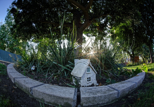 IMGP6317 8 9rgrs