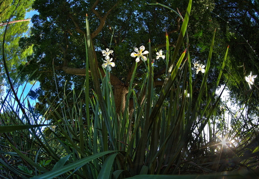 IMGP6299 300 301rgrs