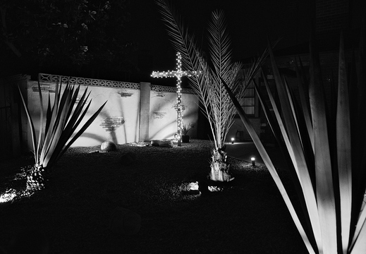 IMGP0821rgrs