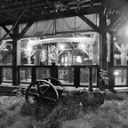 IMGP8018rgrs