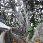 IMGP8872-1rgrs
