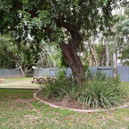 IMGP9528-1