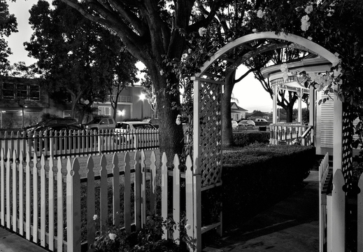 IMGP2386rgrs