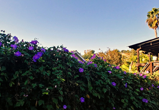 20171028 155909 HDR-1rgrs
