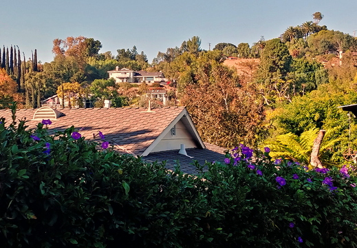 20171028 155613 HDR-1rgrs