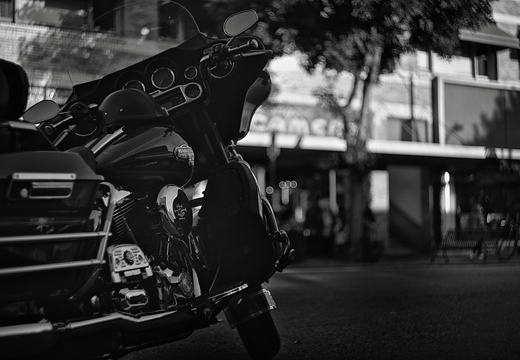 IMGP2678-1rgrs