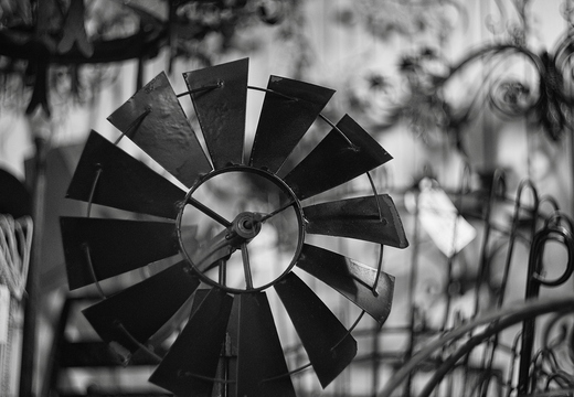 IMGP2703rgrs