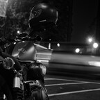 IMGP2721rgrs