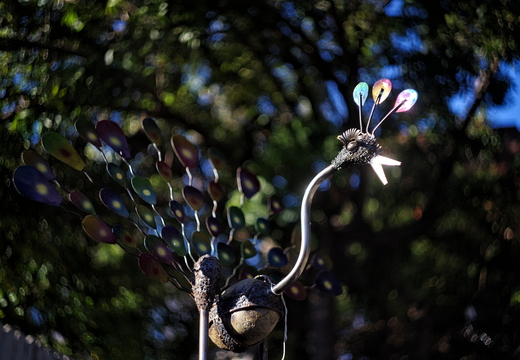 IMGP2602-1rgrs