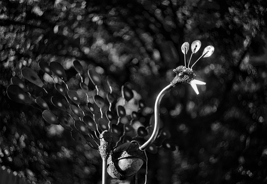 IMGP2602-1rgrs2