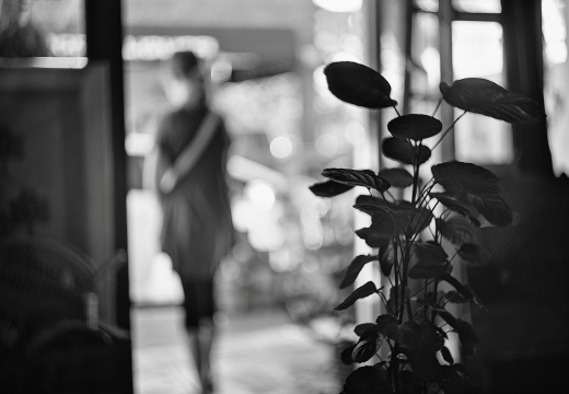 IMGP2663rgrs