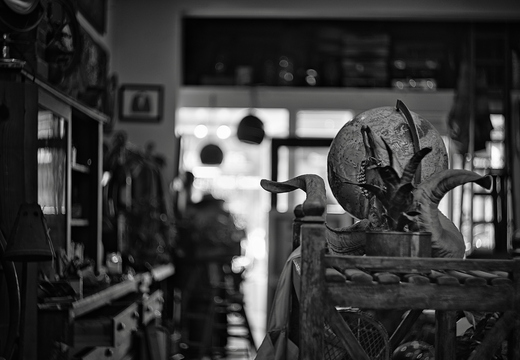 IMGP2666rgrs