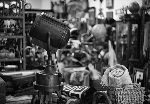 IMGP2669rgrs