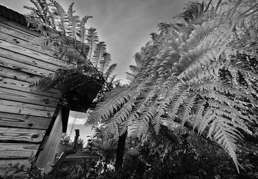 IMGP2741-1rgrs
