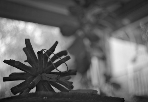 IMGP2929-1