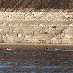 IMGP2564