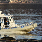 IMGP2580