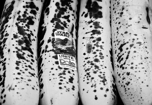 IMGP3187rgrs