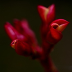 P3120079rgrs