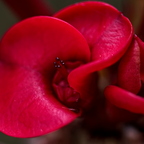 P3120080rgrs2