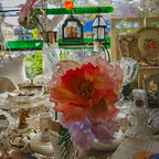 20180318 100330 HDR-1