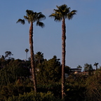 P4040019rgrs