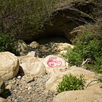 IMGP3378rgrs