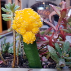 20180504 184344gr