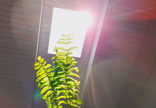 20180506 114524 HDR