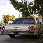 IMGP6734rgrs