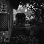 IMGP6931rgrs