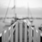 IMGP7299rgrs