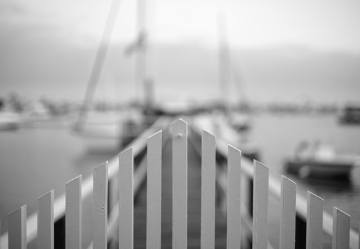 IMGP7299rgrs