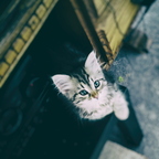 20180605 152836g