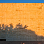P6130109rgrs
