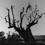 20180618 193246rg