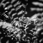P6190110rgrs2
