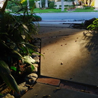 20180808 065515 HDR