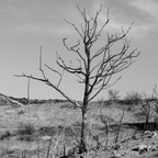 P8174943-2