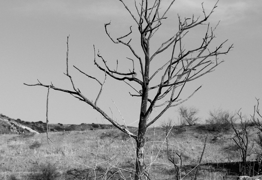 P8174943-2
