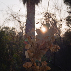 P8175145