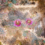 P8175044