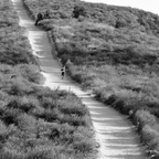 P8174954