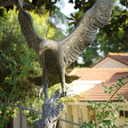 IMGP8864