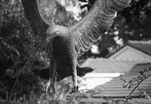 IMGP8864-1