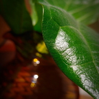 20180824 145931 HDR-1