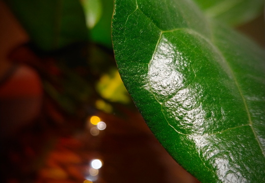 20180824 145931 HDR-1