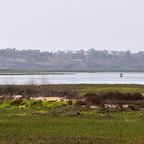 P8255187
