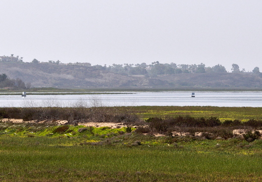 P8255187
