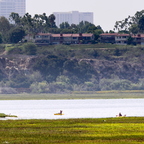 P8255213